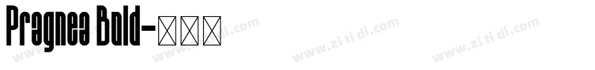 Pragnea Bold字体转换
